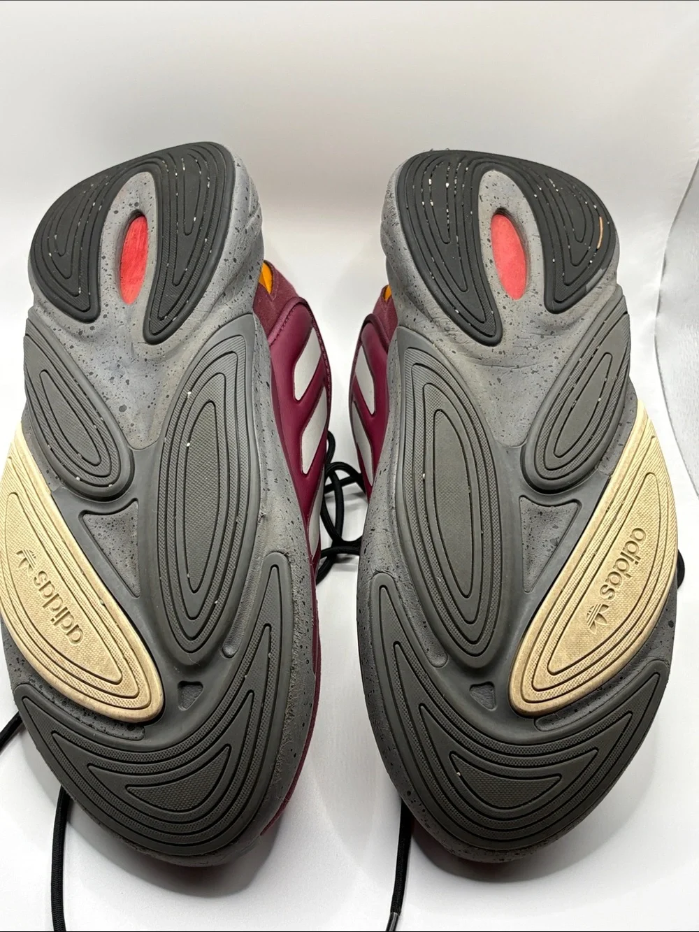 adidas heel ozelia near