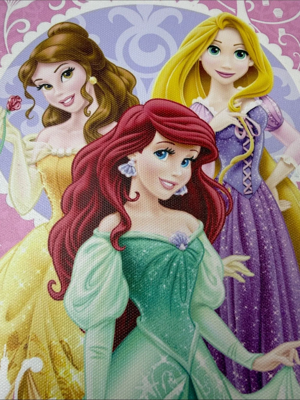 Disney Princess Belle Ariel Rapunzel Wall Canvas – Kind & True