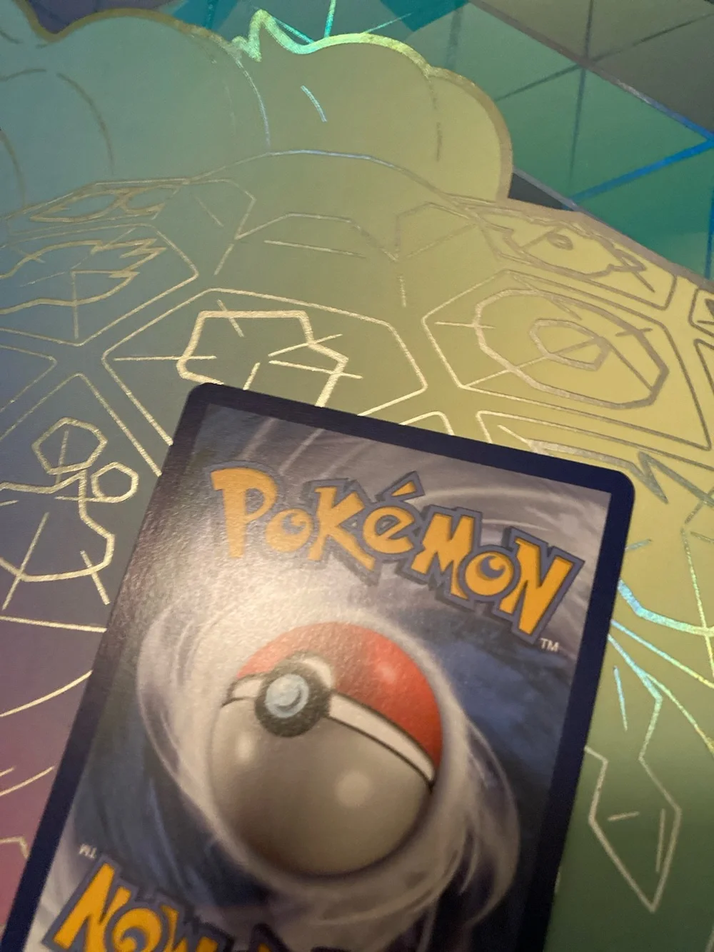 Pokemon official toxel