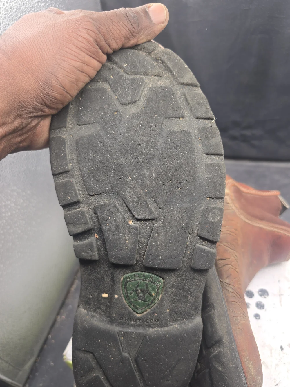 Ariat classic chukka