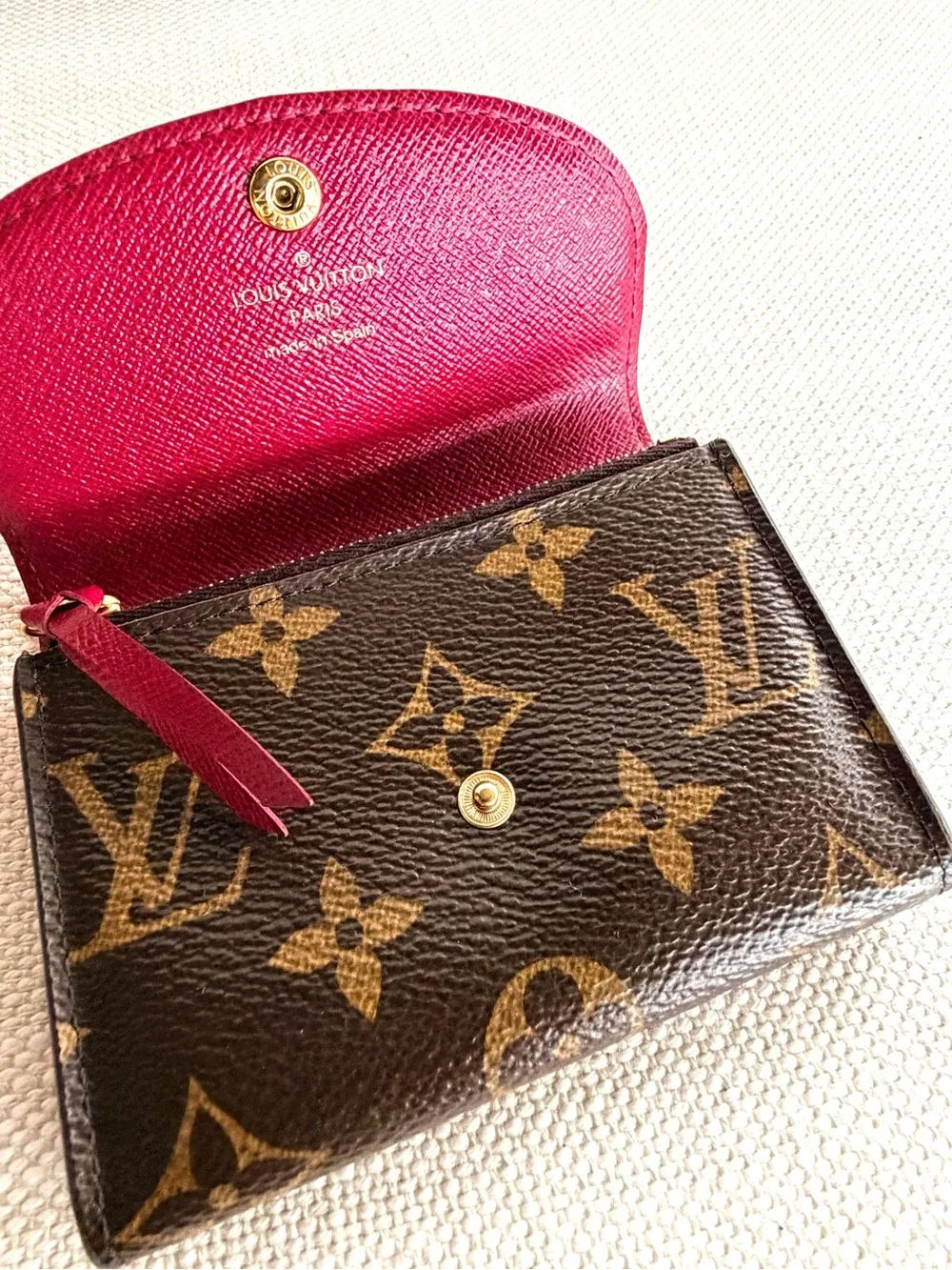 Louis Vuitton purse dust