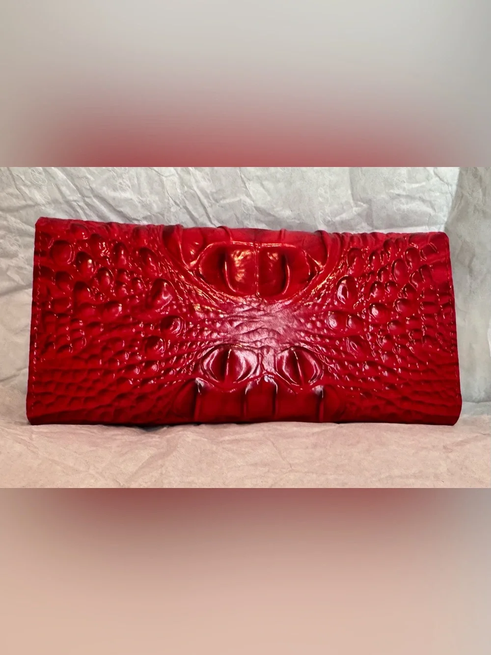Brahmin chic envelope