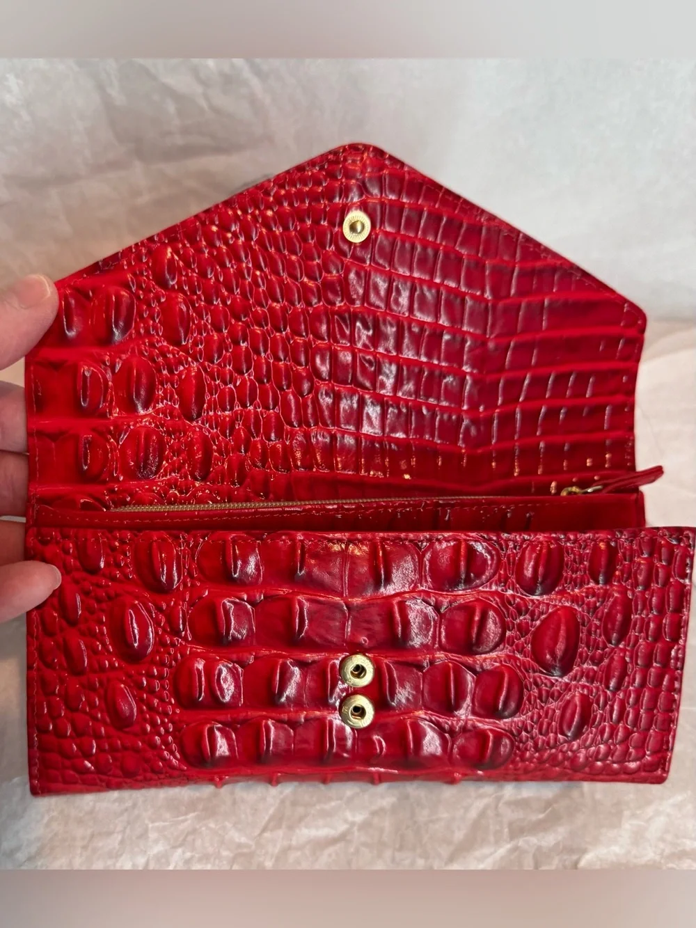 Brahmin chic envelope