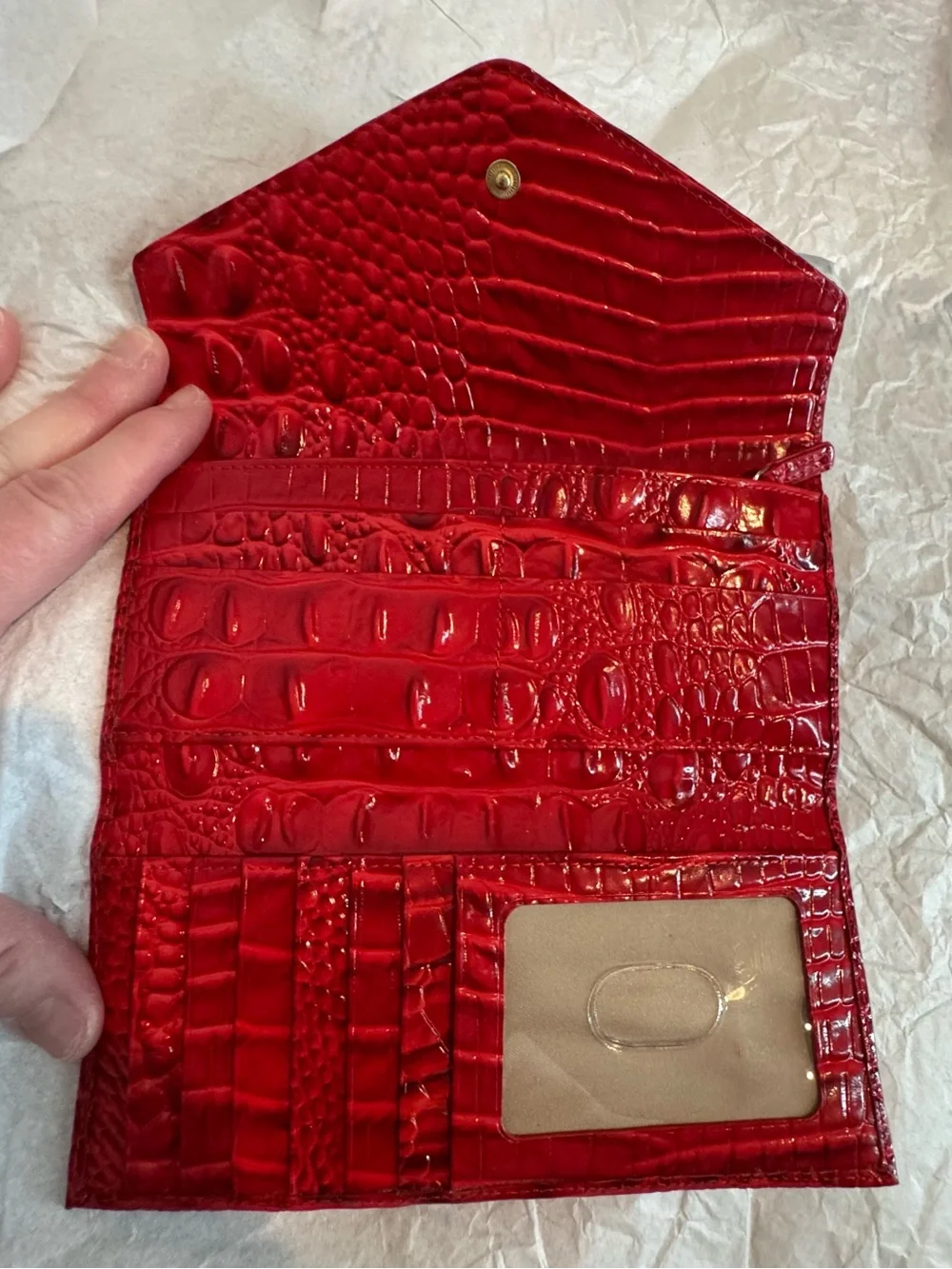 Brahmin chic envelope