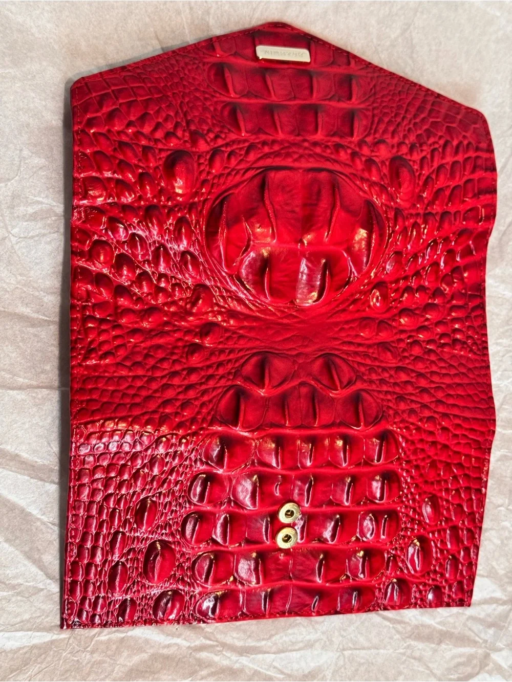 Brahmin chic envelope