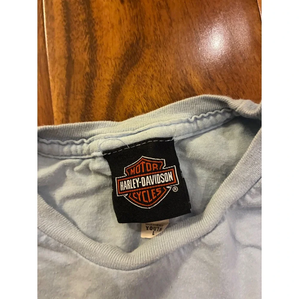Harley-Davidson harley davidson