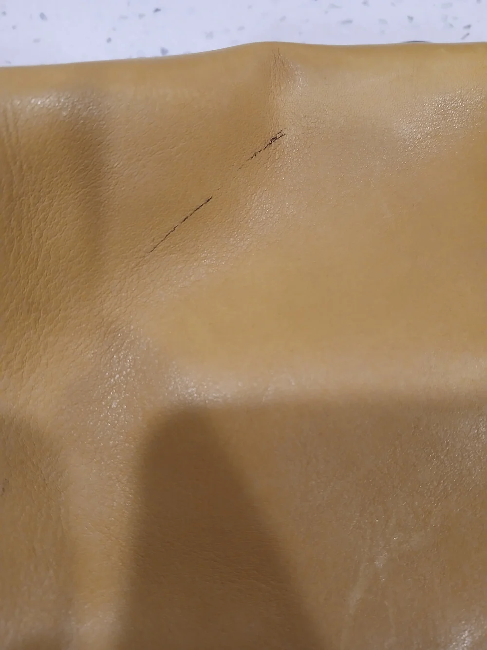 Coach logo mustard