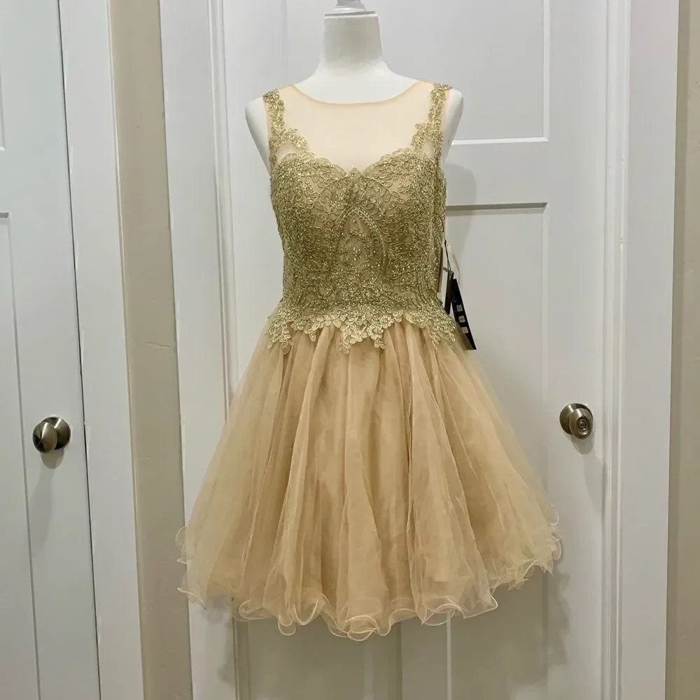 Mesh embroidered beaded Lace Short Ruffled  Dress
