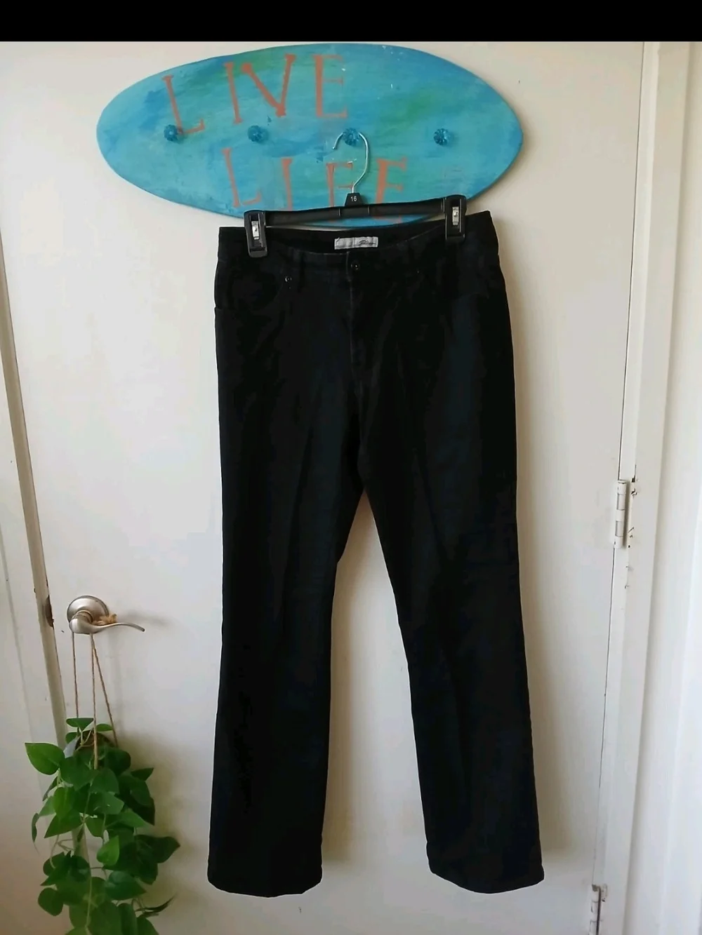 Chicos decorative regular size