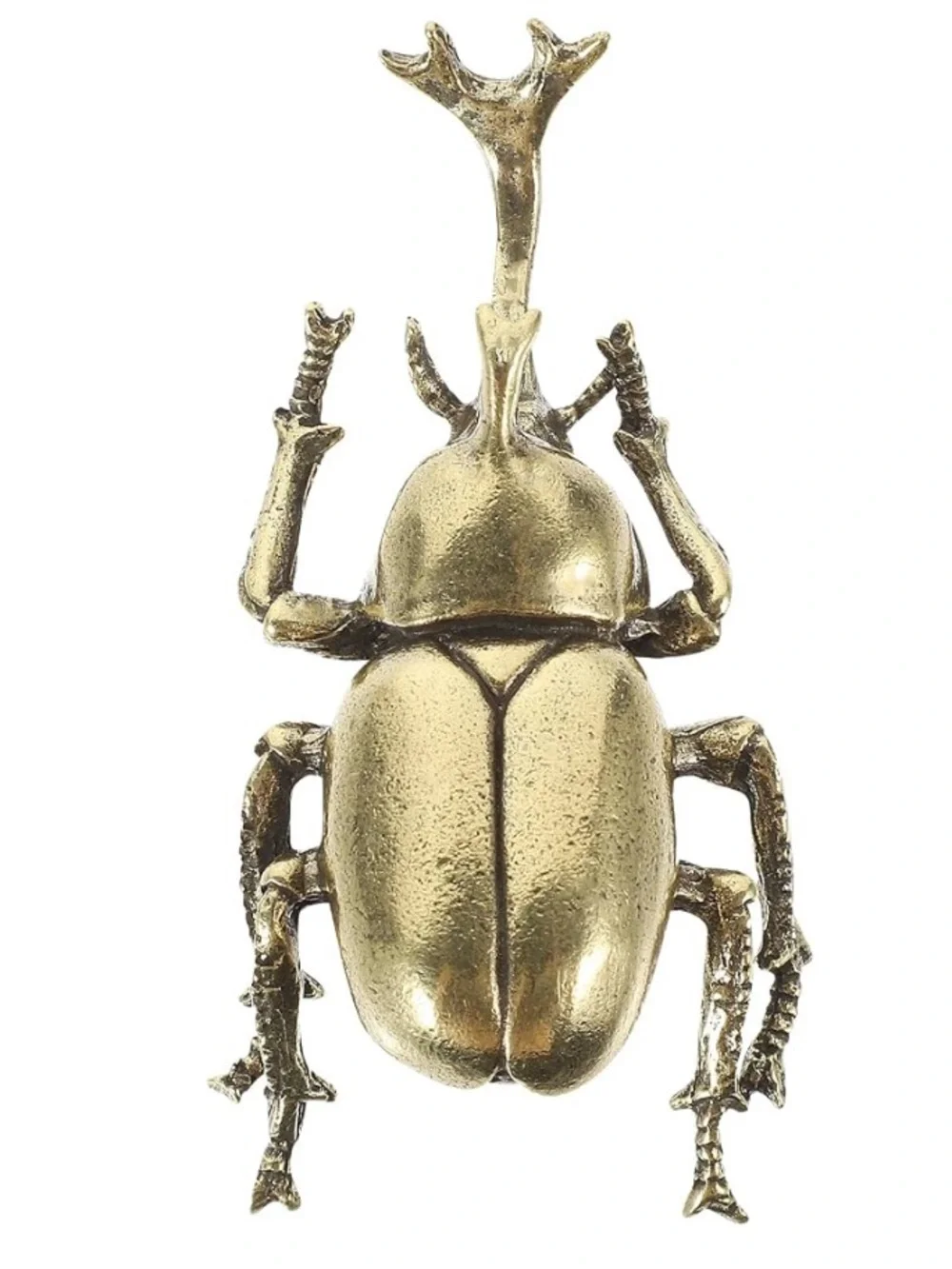 N/A brass beetle
