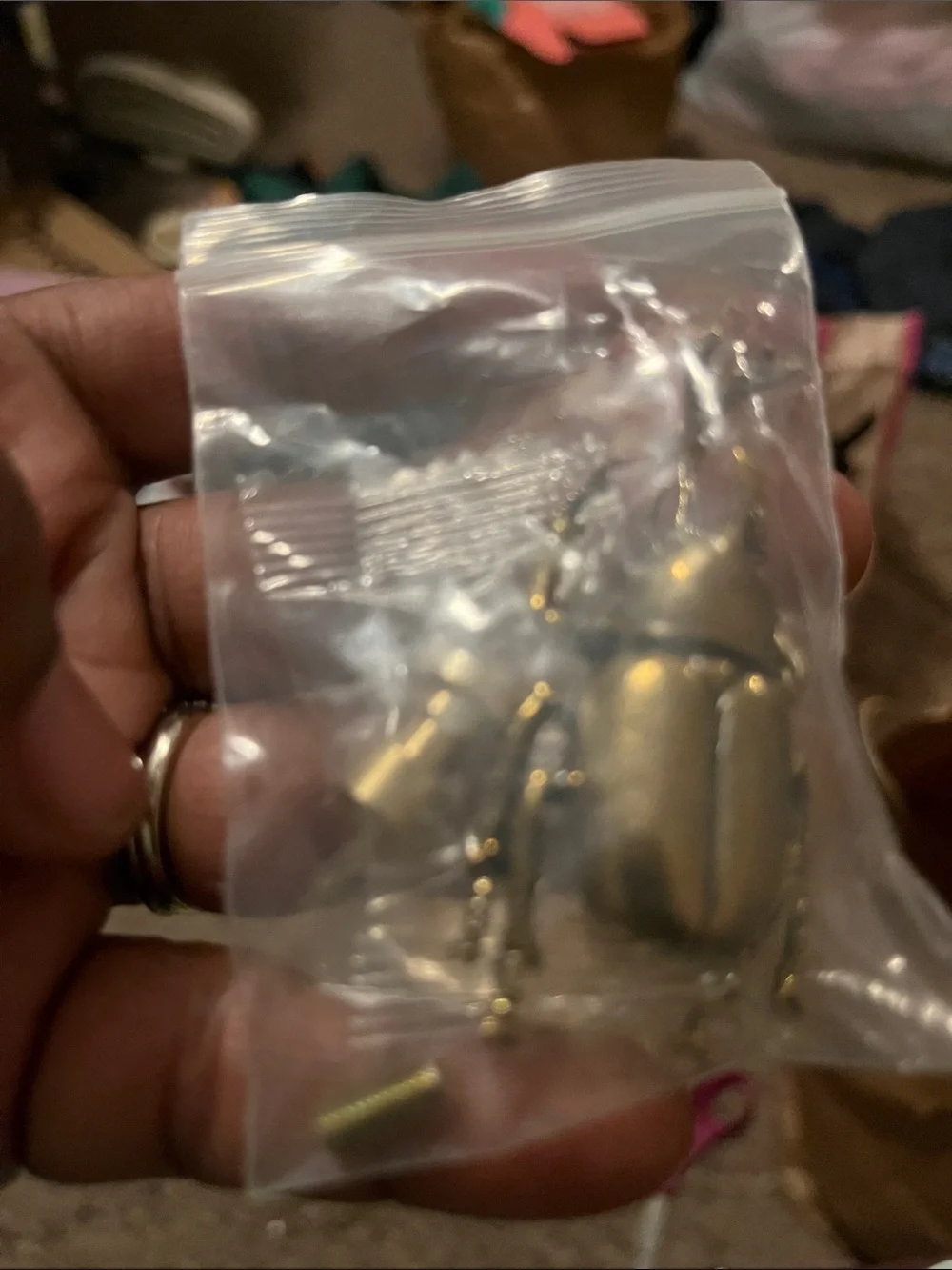 N/A brass beetle