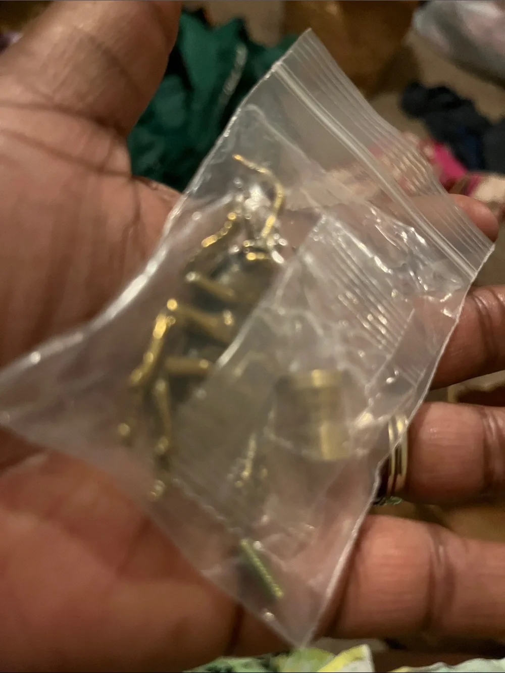 N/A brass beetle