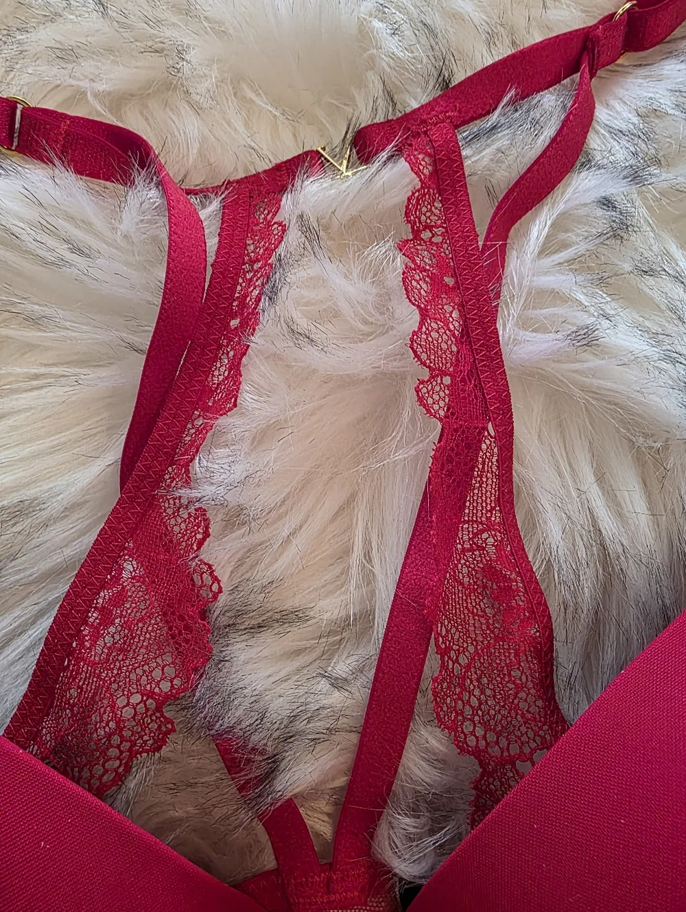 Victorias Secret cheeky new