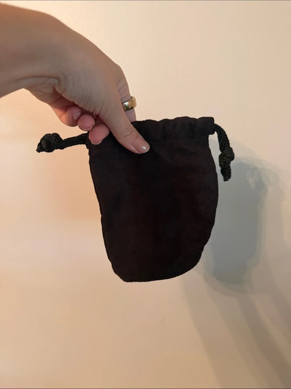 Nikon pouch design carry