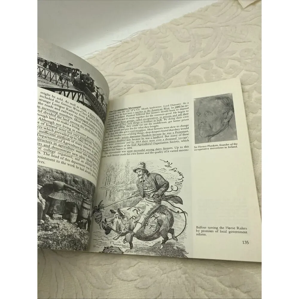 Ireland 1800-1970 M.E. Collins Paperback 1976 Publication