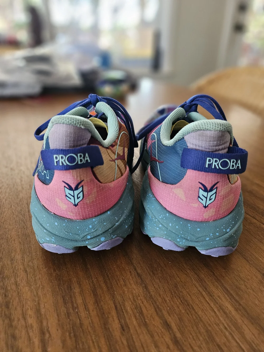 Hoka speedgoat studio