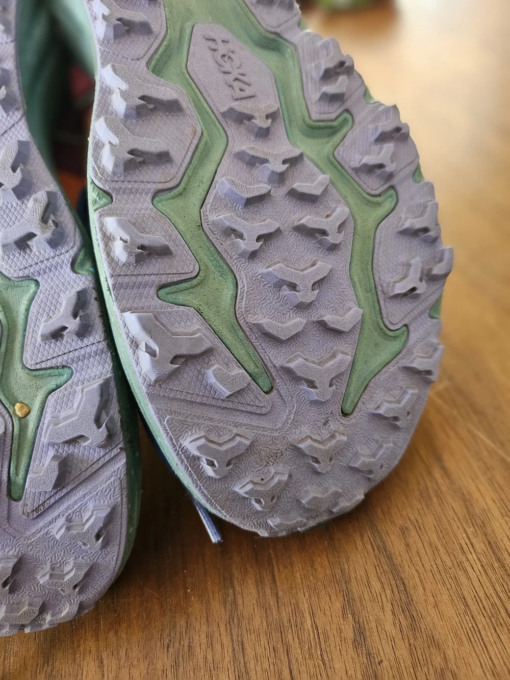 Hoka speedgoat studio
