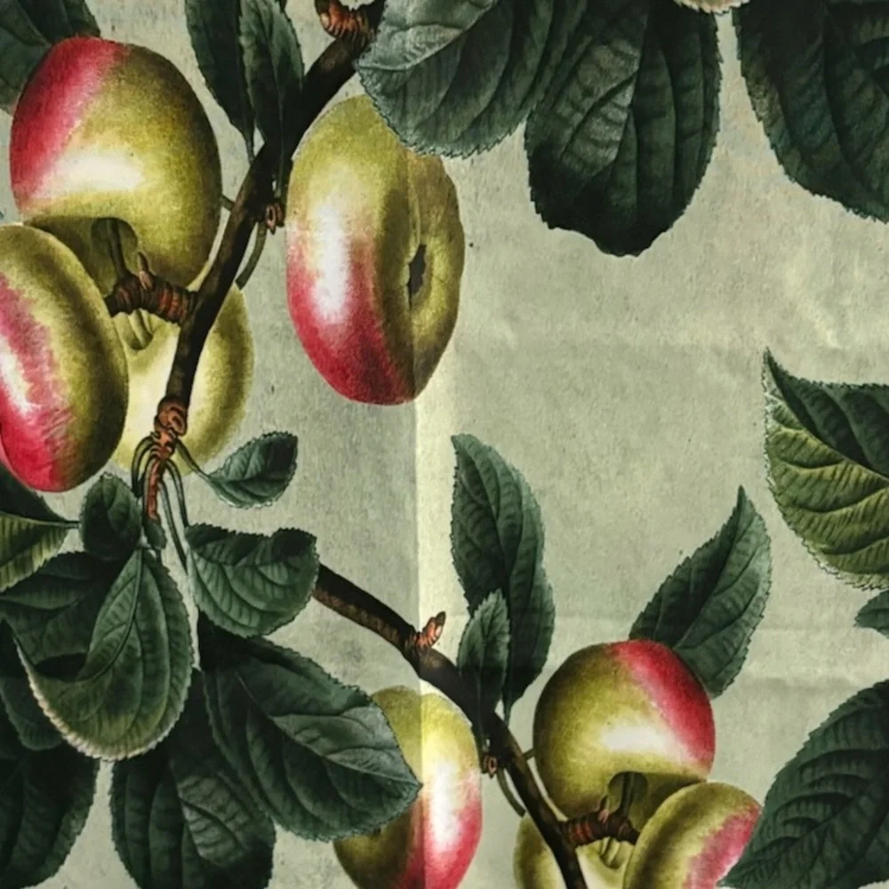 Botanical Fruit Print Curtains with Green Leaves and Pink Accents