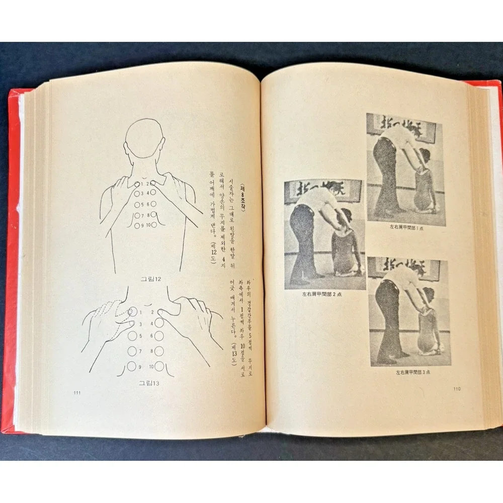 N/A shiatsu japanese