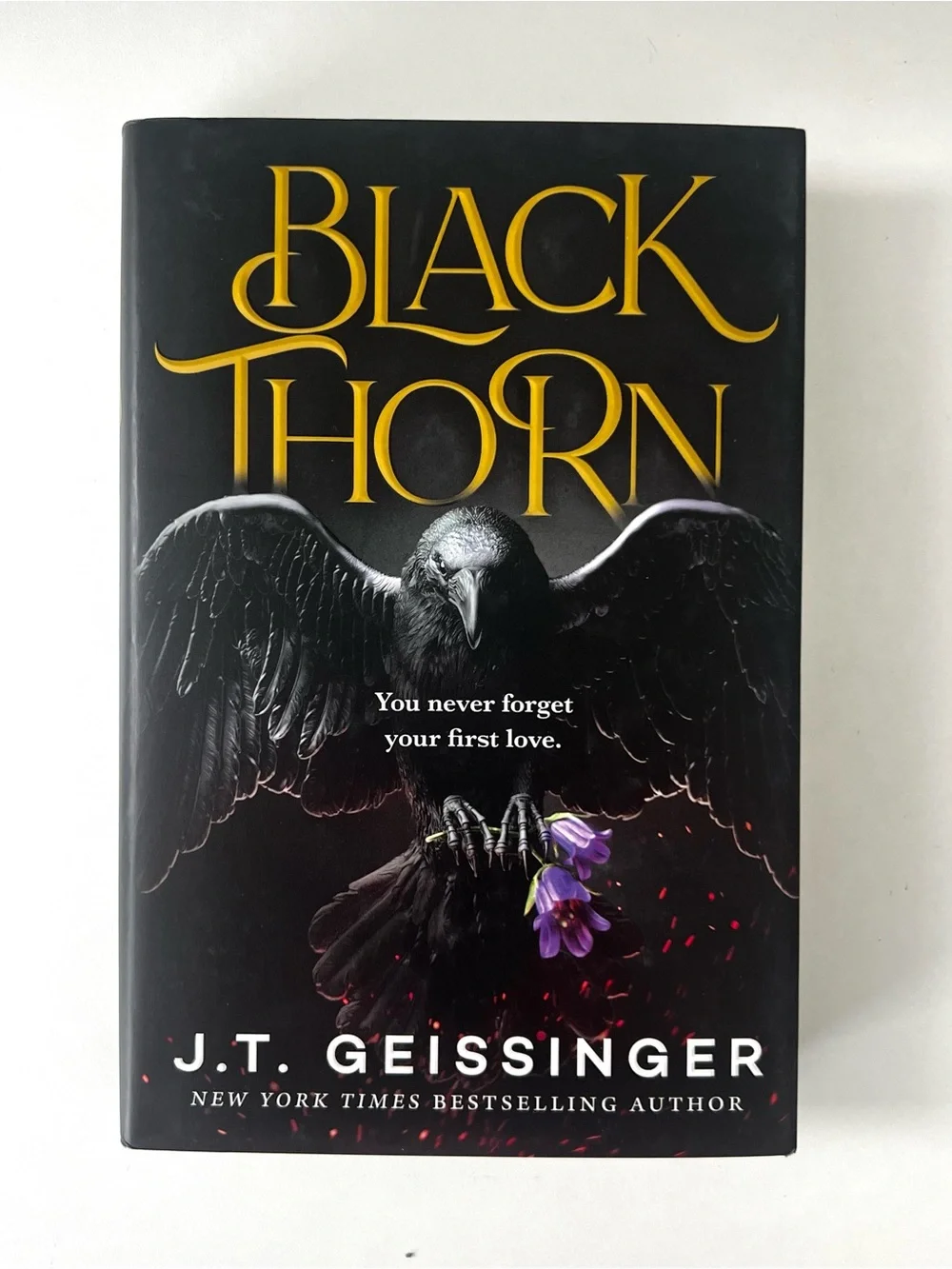 Black Thorn by J.T. Geissinger