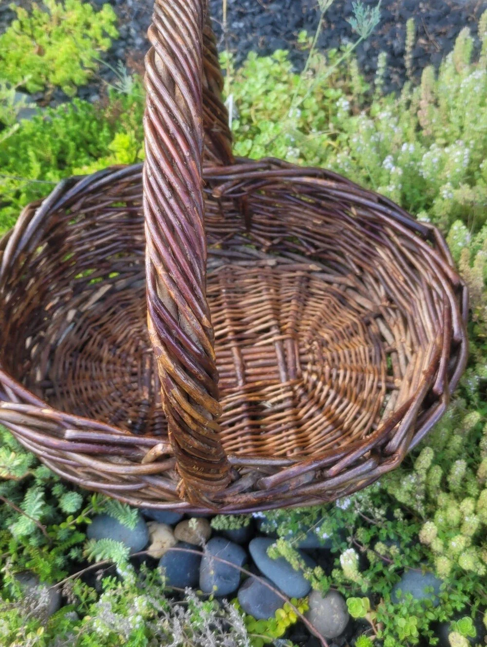 Large Dark Willow Gathering Basket with Arched Twisted Handle Handmade Vintage