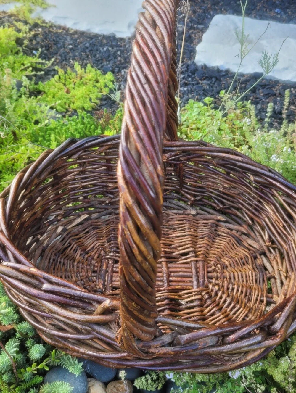 Large Dark Willow Gathering Basket with Arched Twisted Handle Handmade Vintage