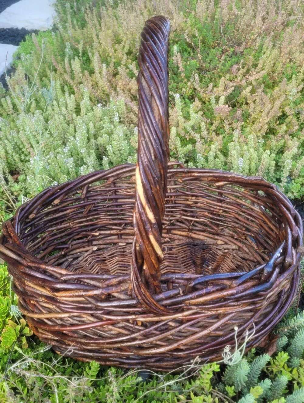 Large Dark Willow Gathering Basket with Arched Twisted Handle Handmade Vintage