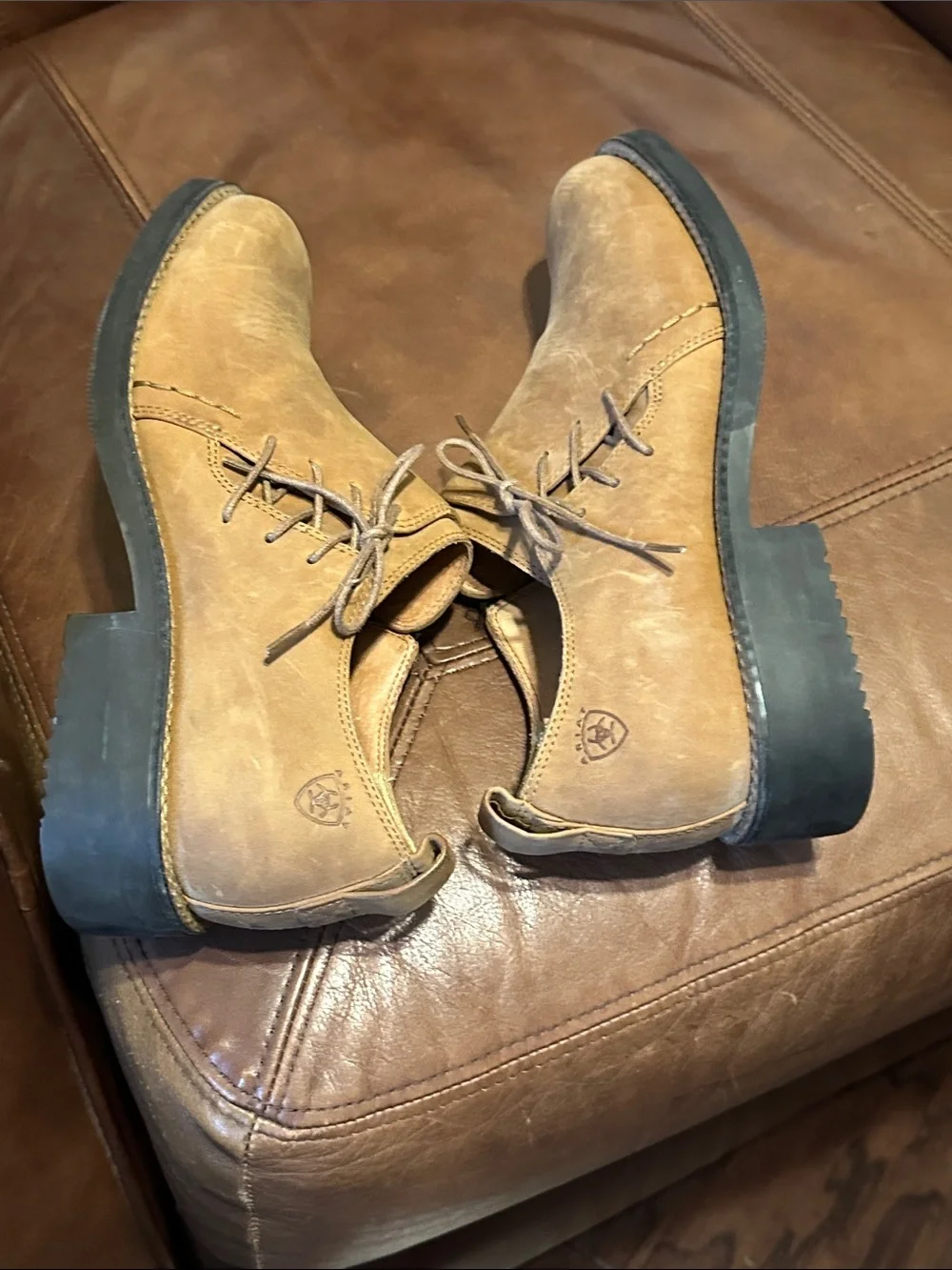 Ariat | “Wicklow” Suede Side-Lace Oxford - Women’s 9.5B