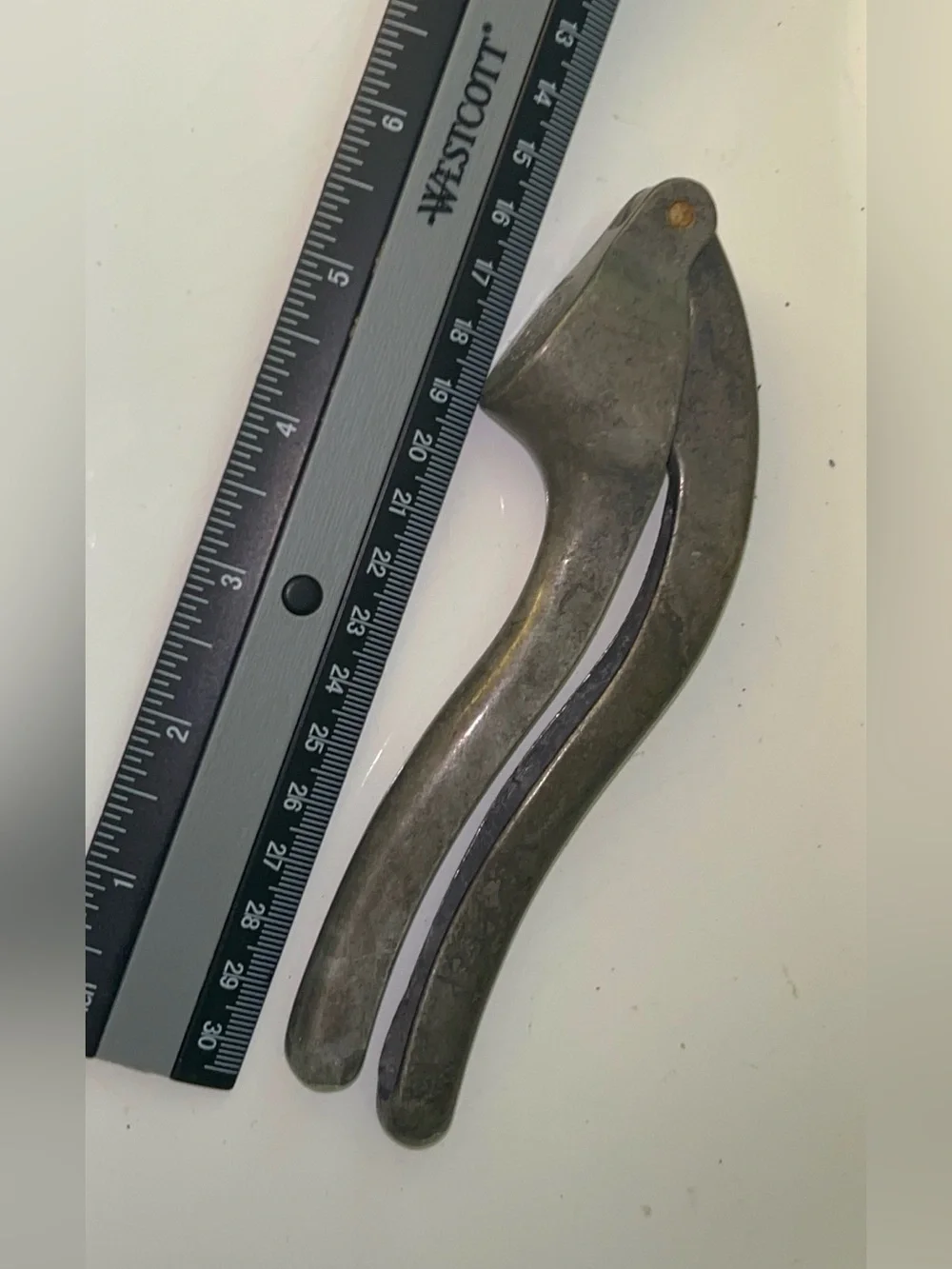 N/A italian cast