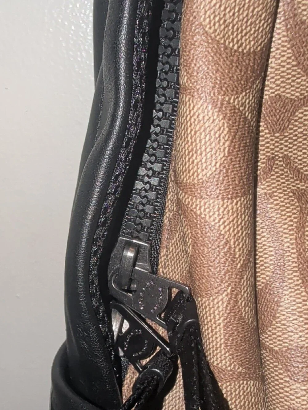 Coach signature canvas
