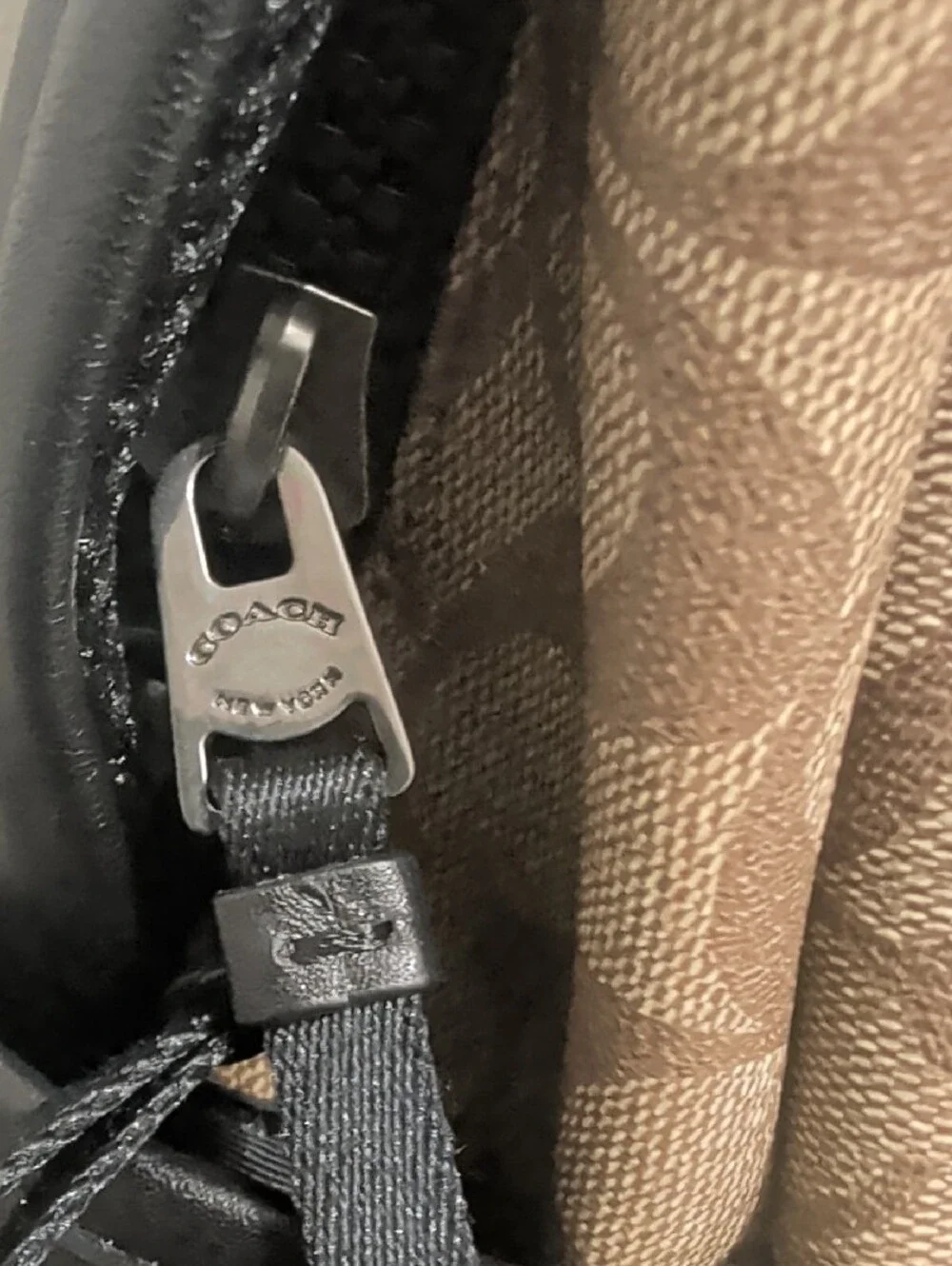 Coach signature canvas