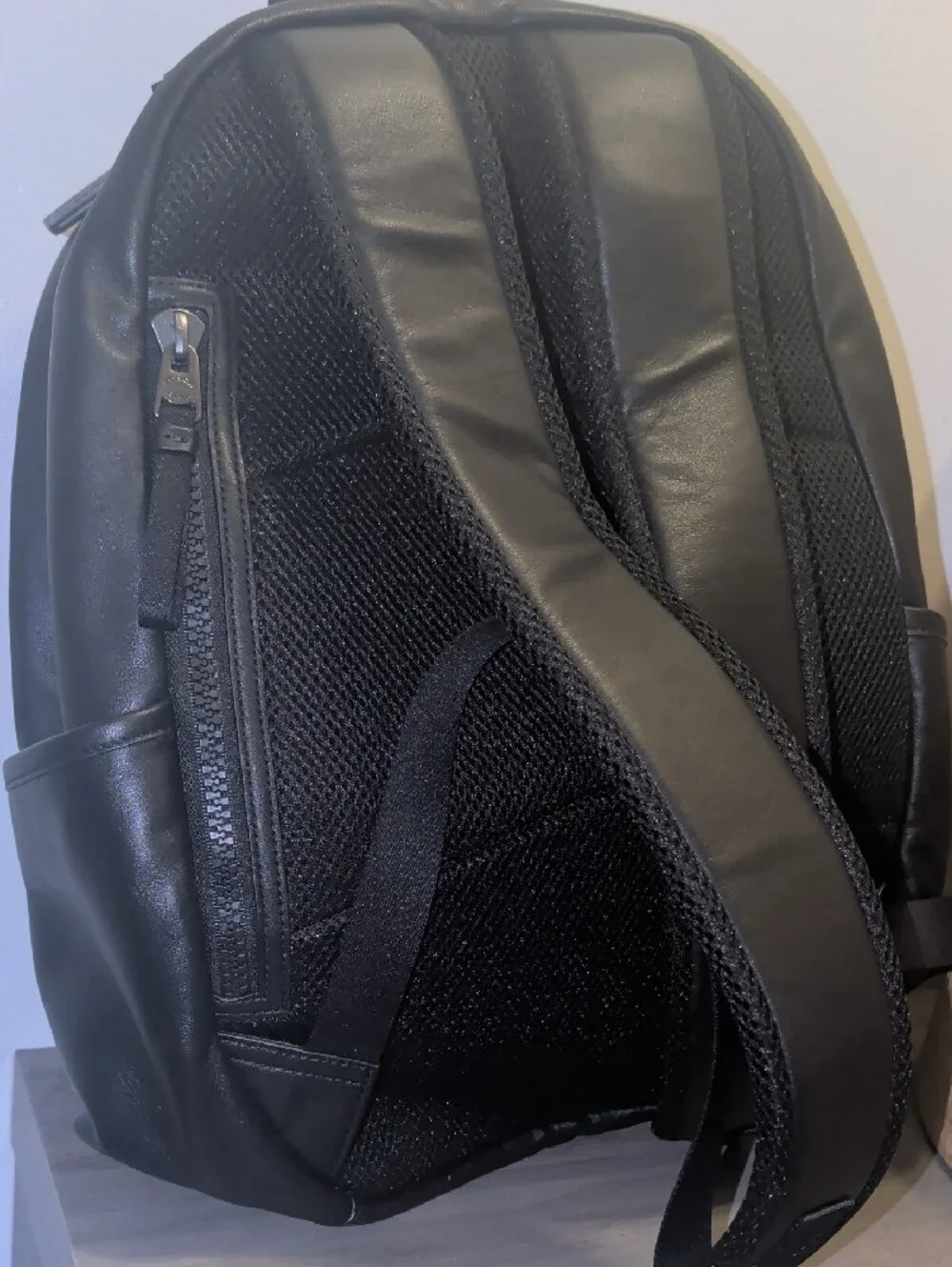 Coach signature canvas