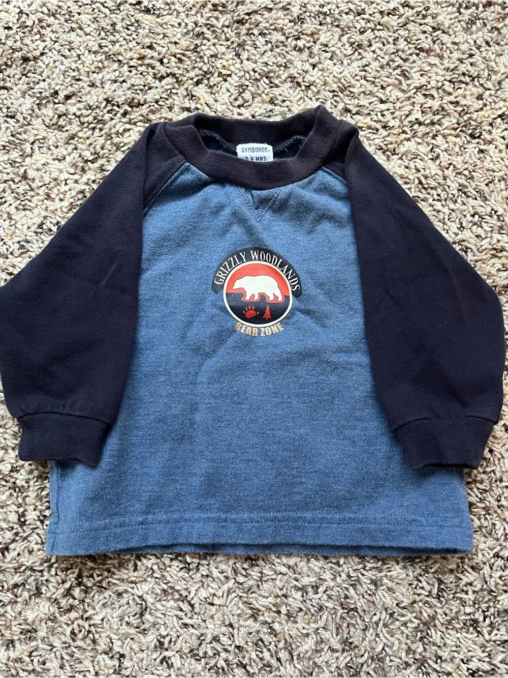 Gymboree Boys' Blue & Black Long-Sleeve Shirt - Grizzly Woodlands Graphic