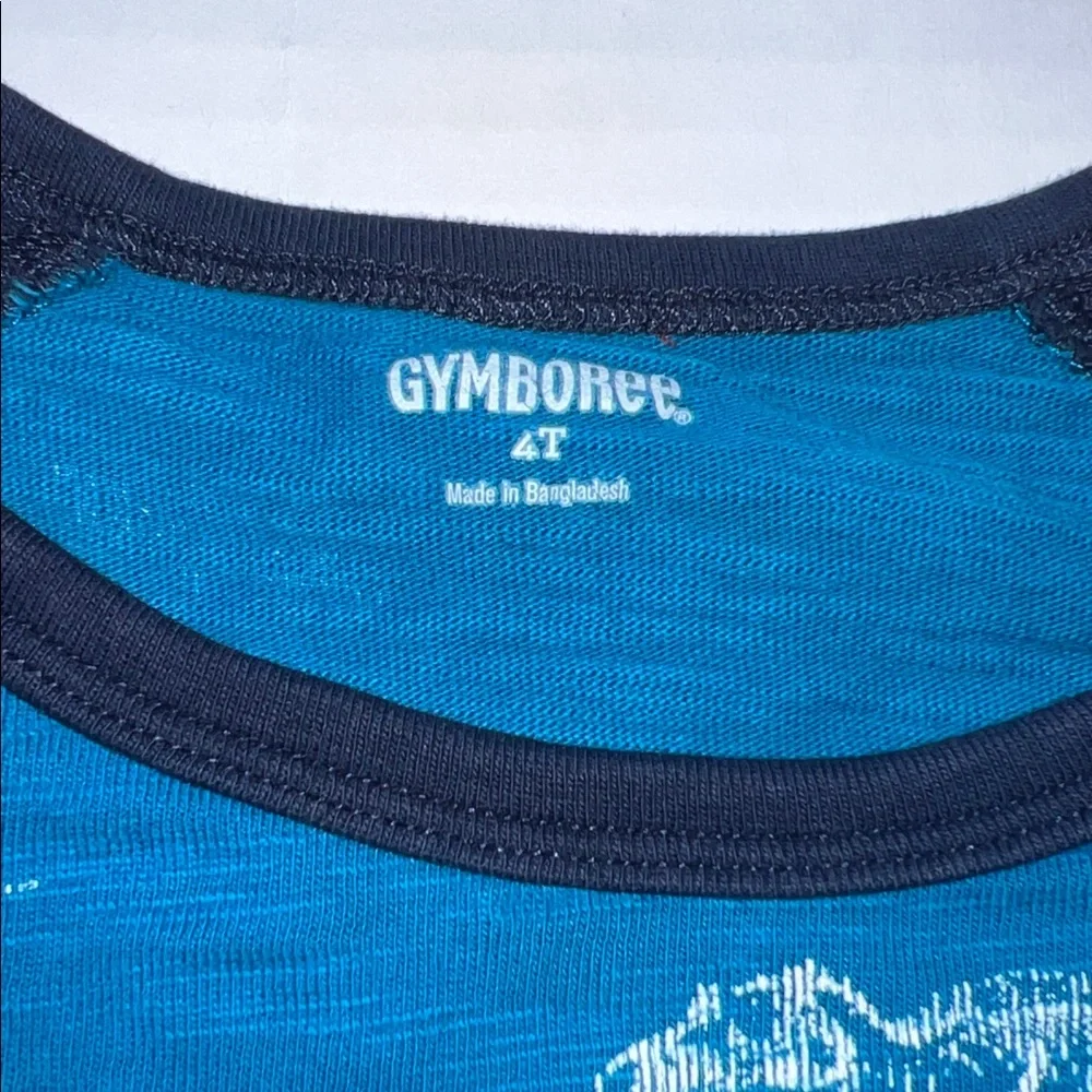 Gymboree Raglan Long Sleeve Tees - 4