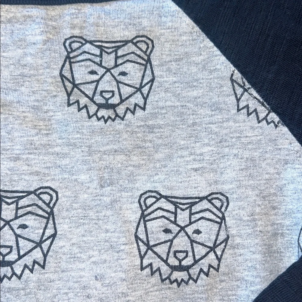 Gymboree Raglan Long Sleeve Tees - 4