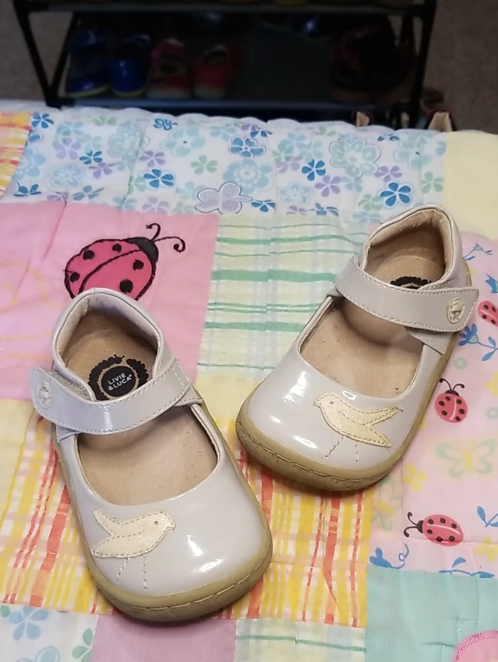 Livie & Luca hook padded