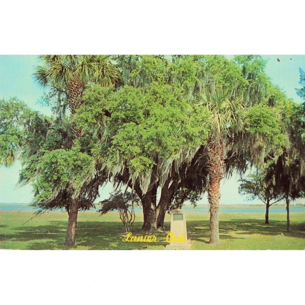 Vintage Lanier Oak Postcard Brunswick Georgia Marshes of Glynn Sidney Lanier VG