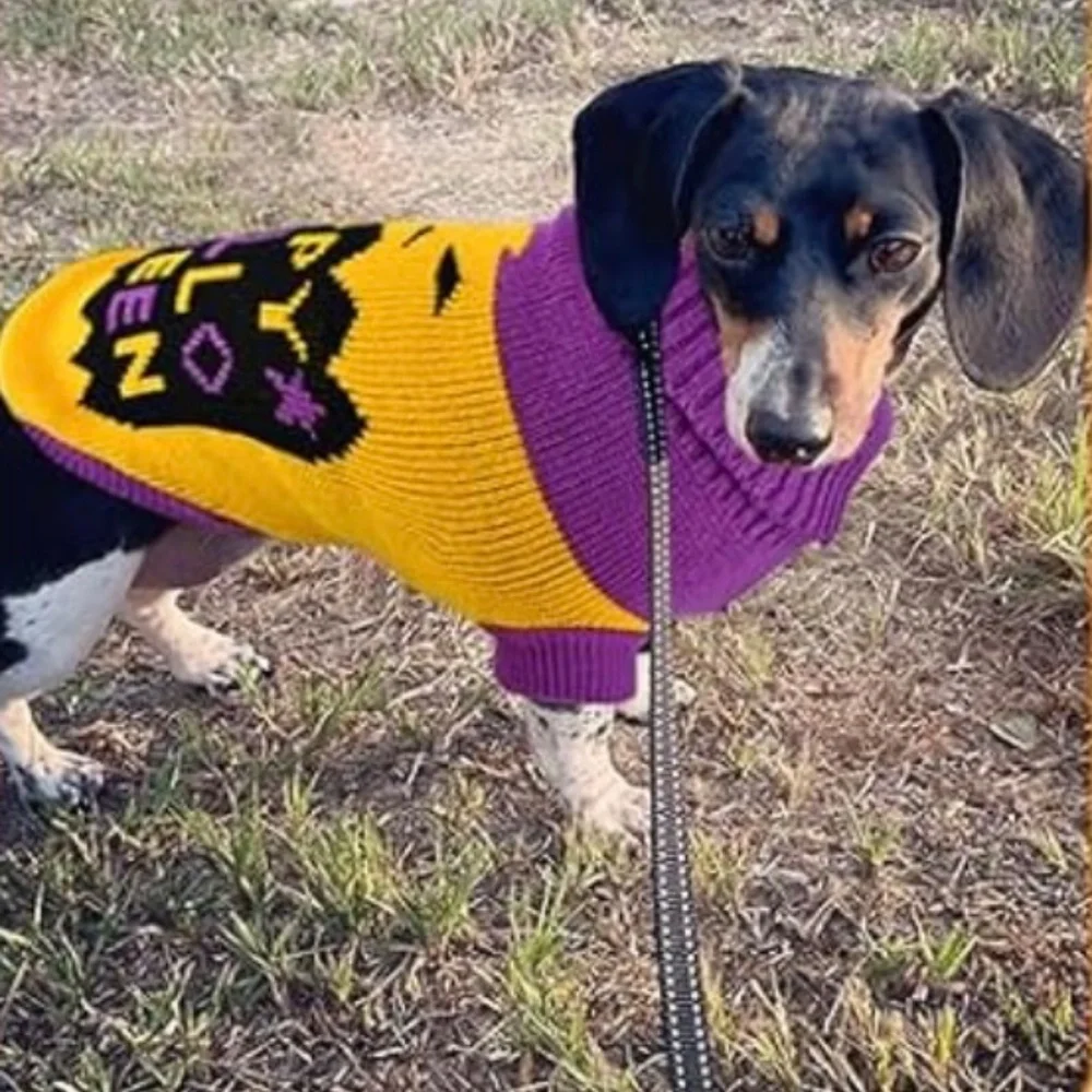 NWOT Dog/Cat Halloween Sweaters Cat Pumpkin Turtleneck Knitwear Size Large