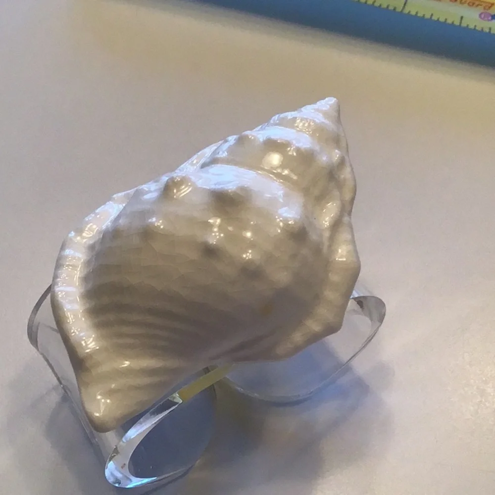 Vintage Shell Napkin Rings Seashells Acrylic Lucite Bone‎ China Conch Set 8