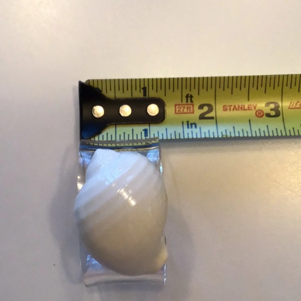 Vintage Shell Napkin Rings Seashells Acrylic Lucite Bone‎ China Conch Set 8