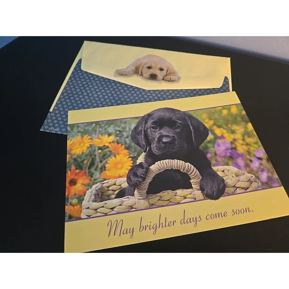 Set of‎ 7 Animal Birthday Get Well Cards Dog Cat Lover Greeting Card Lot NEW