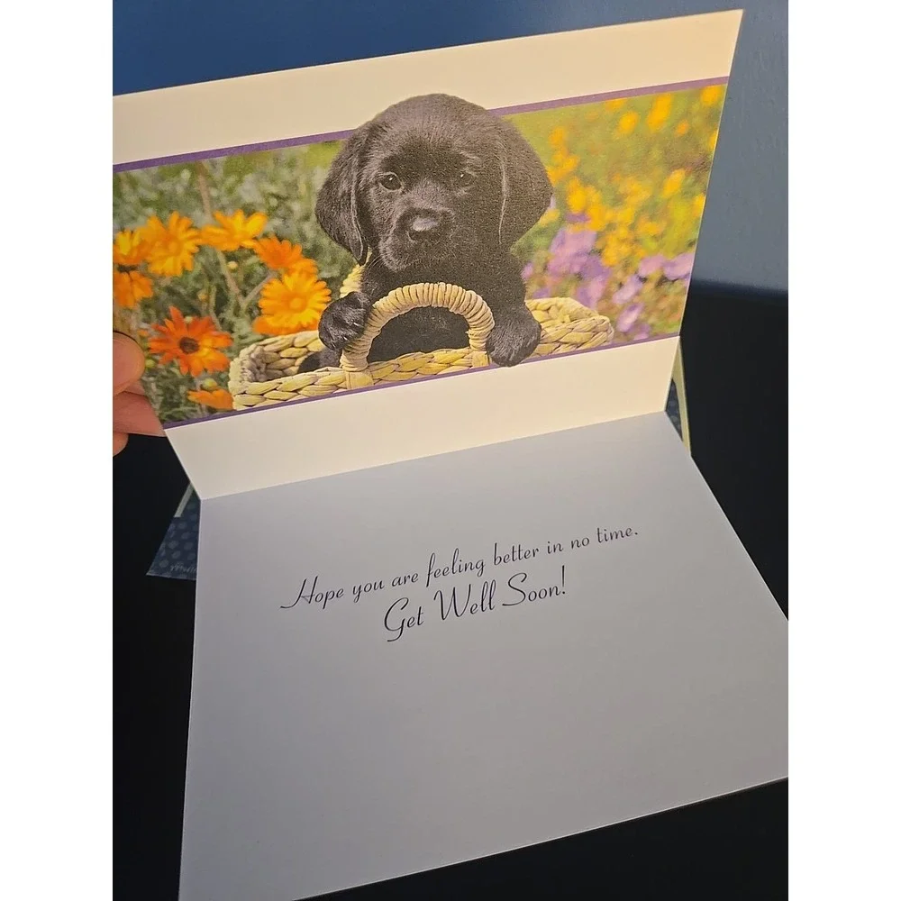 Set of‎ 7 Animal Birthday Get Well Cards Dog Cat Lover Greeting Card Lot NEW