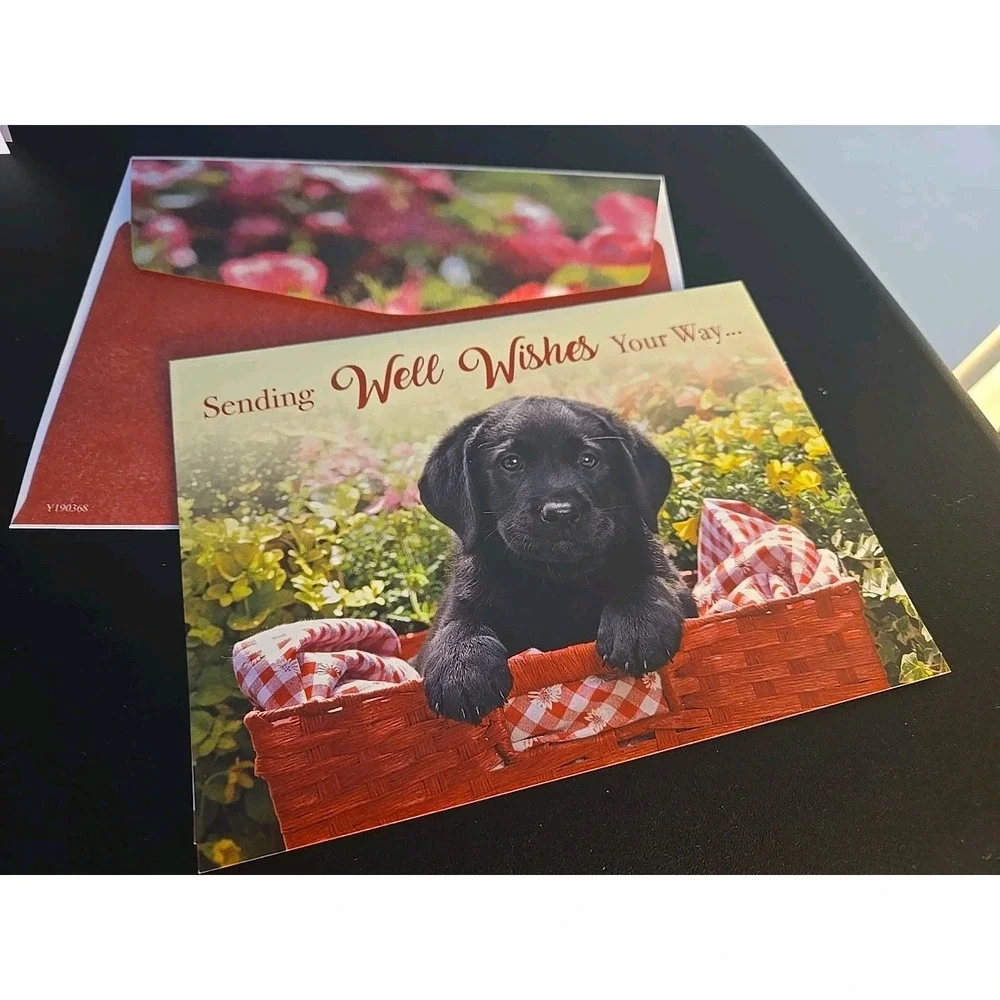 Set of‎ 7 Animal Birthday Get Well Cards Dog Cat Lover Greeting Card Lot NEW