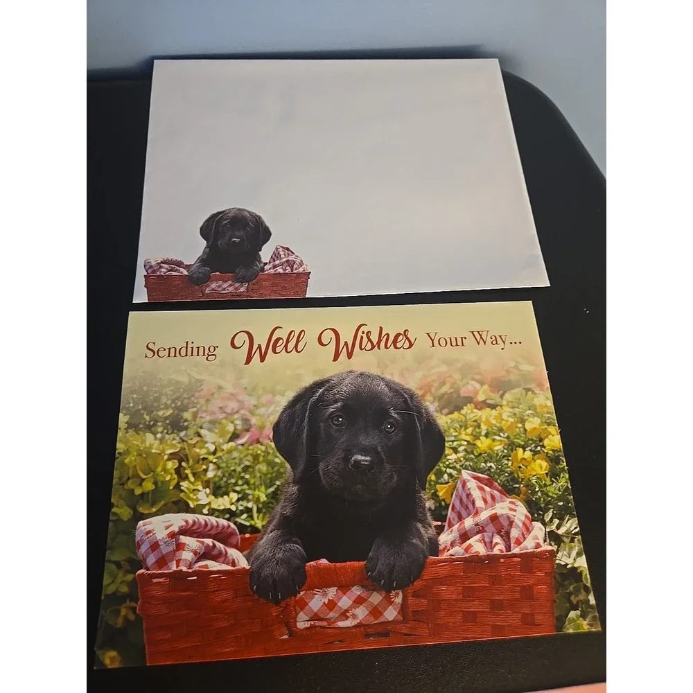 Set of‎ 7 Animal Birthday Get Well Cards Dog Cat Lover Greeting Card Lot NEW