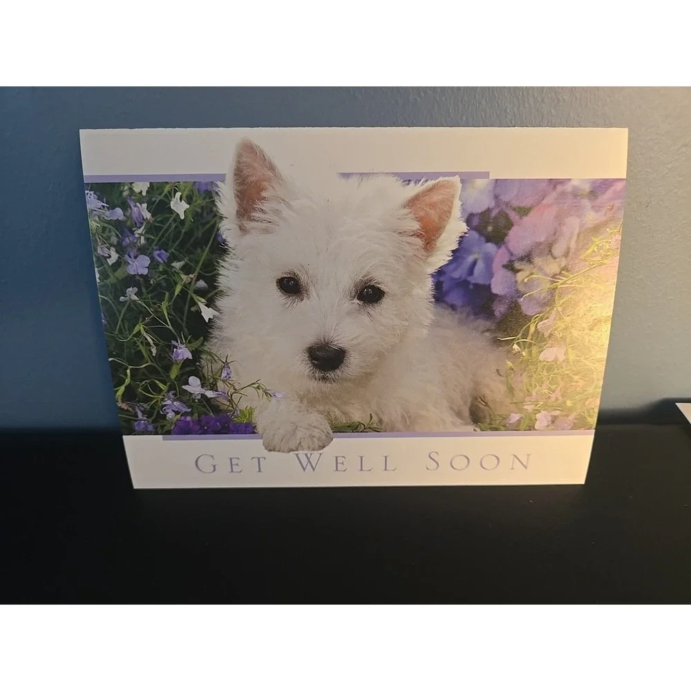 Set of‎ 7 Animal Birthday Get Well Cards Dog Cat Lover Greeting Card Lot NEW