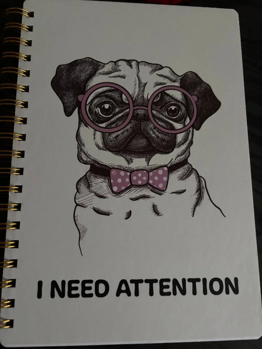 Lined Journal/Notebook NWT