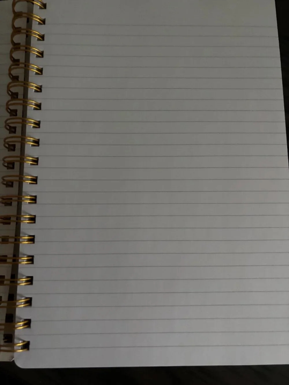 N/A lined journal