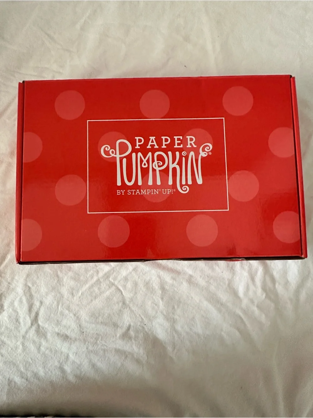 Mistletoe & Holly Holiday Stampin’ Up! Paper Pumpkin Card Kit - Red, Green