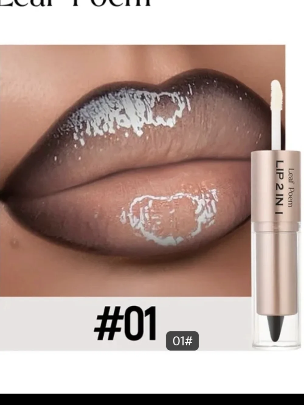 Lip 2in1 Liquid Gloss & Liner - Shade 01 Nude Brown
