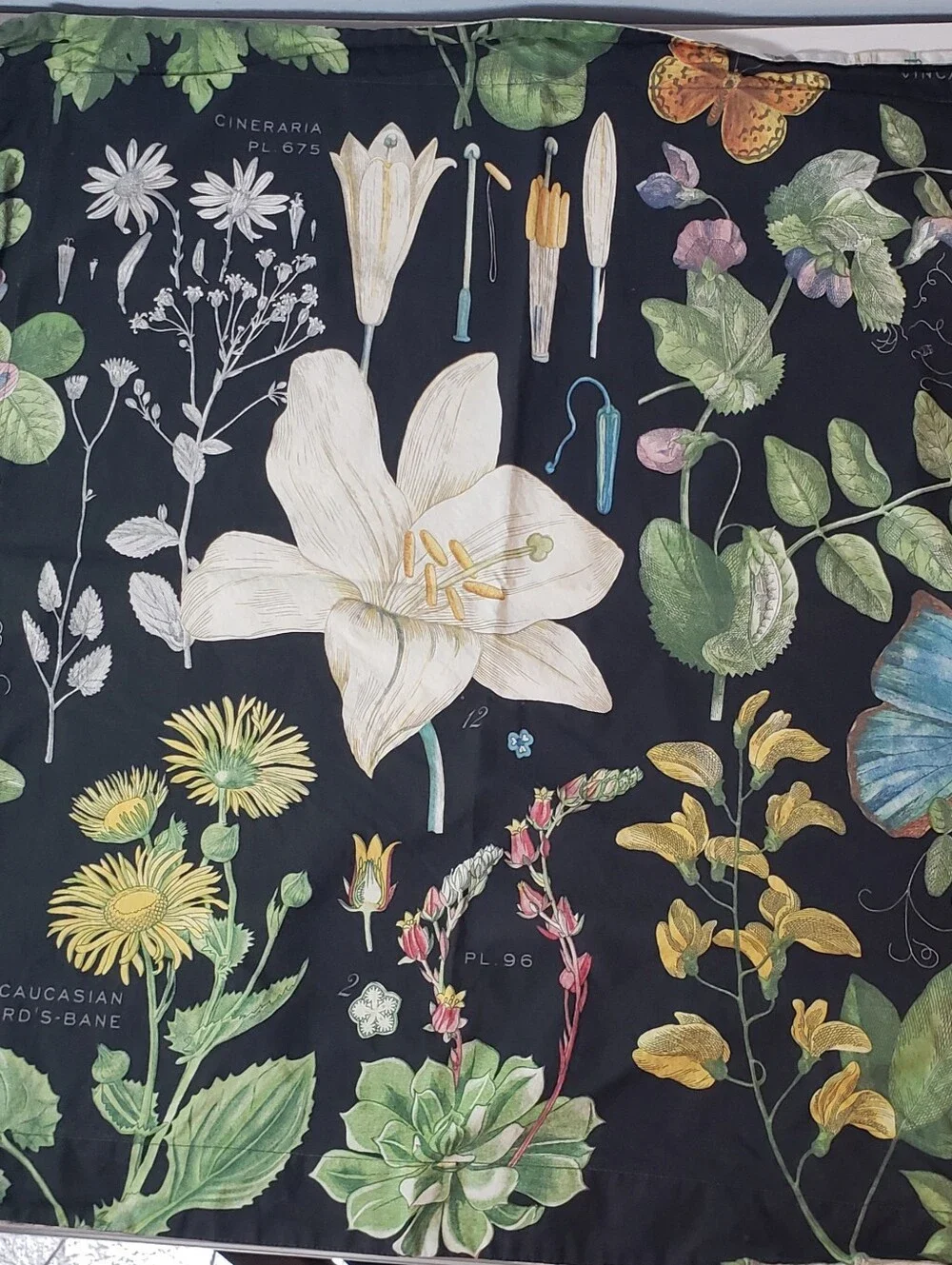 Pottery Barn Poppy Series European Pillow Sham Vintage Botanical Floral Latin